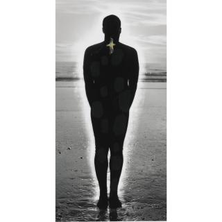 Enrique Martinez Celaya - Frankness (Work Of Mercy)