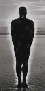 Enrique Martinez Celaya - Frankness