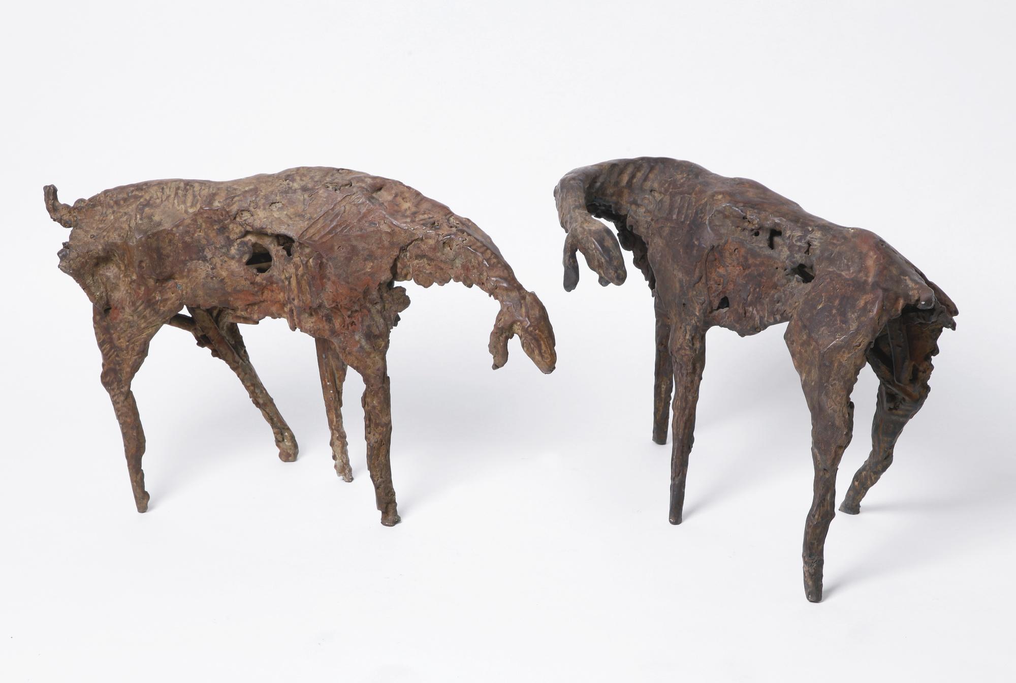 Eran Shakine - Goats: Two Works