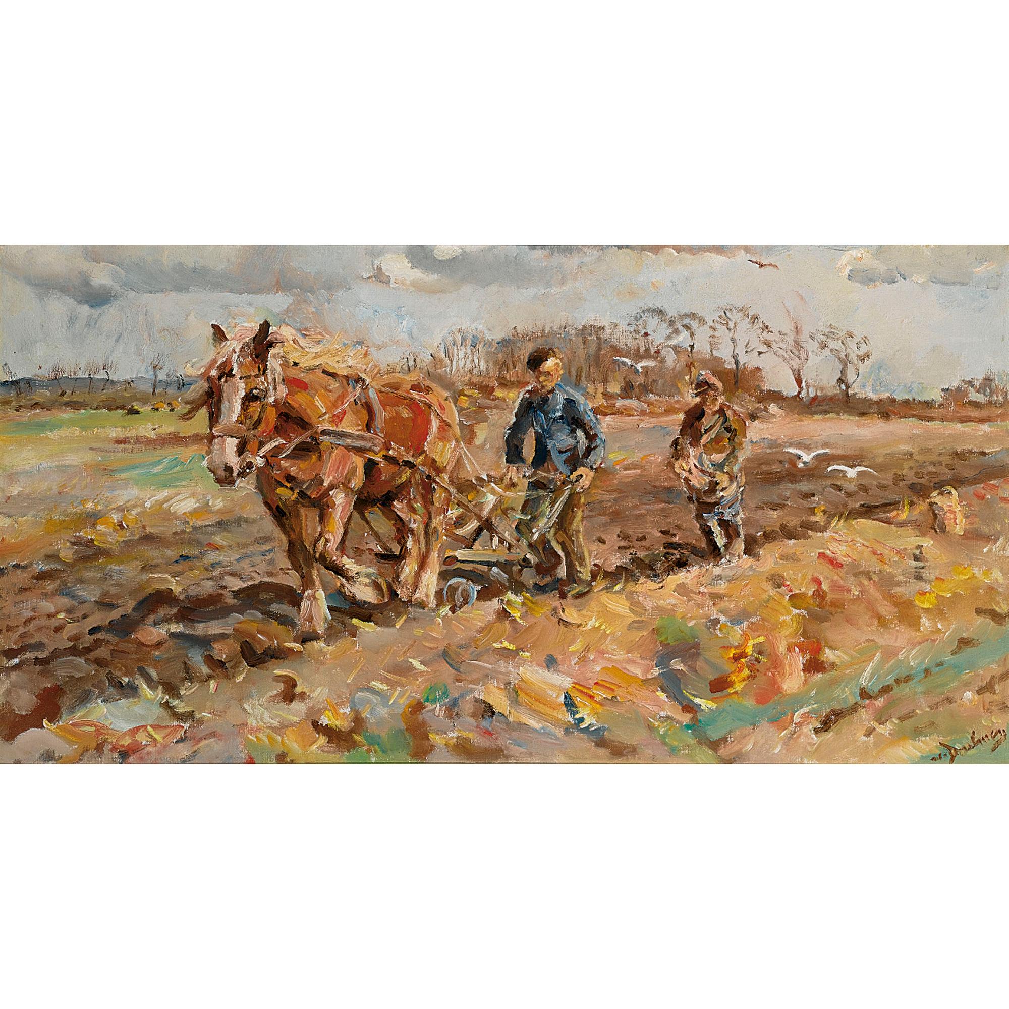 Erasmus van Dulmen Krumpelman - Dutch Ploegende En Zaaiende Boer