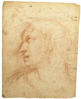 Ercole Procaccini II - Tête de jeune fille regardant vers la gauche, portant une boucle d\'oreille