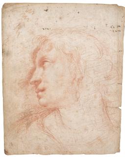 Ercole Procaccini The Younger - Study Of A Female Head, Seen In Profile, Wearing A Pearl Earring