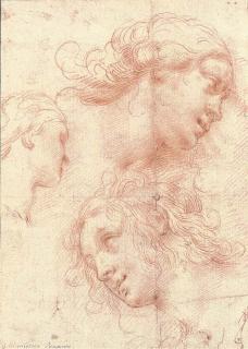 Ercole Procaccini - Etudes de Trois Têtes de Femmes