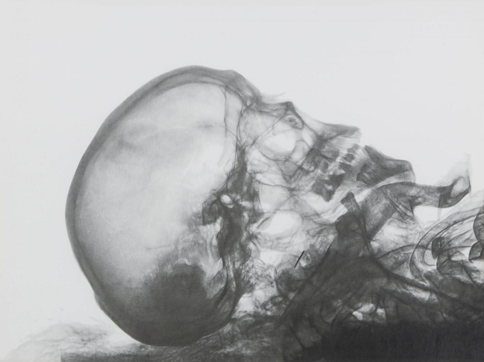 Eric Manigaud - Mummy of a Bearded Man, Profile View 2