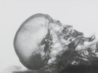 Eric Manigaud - Mummy of a Bearded Man, Profile View 2