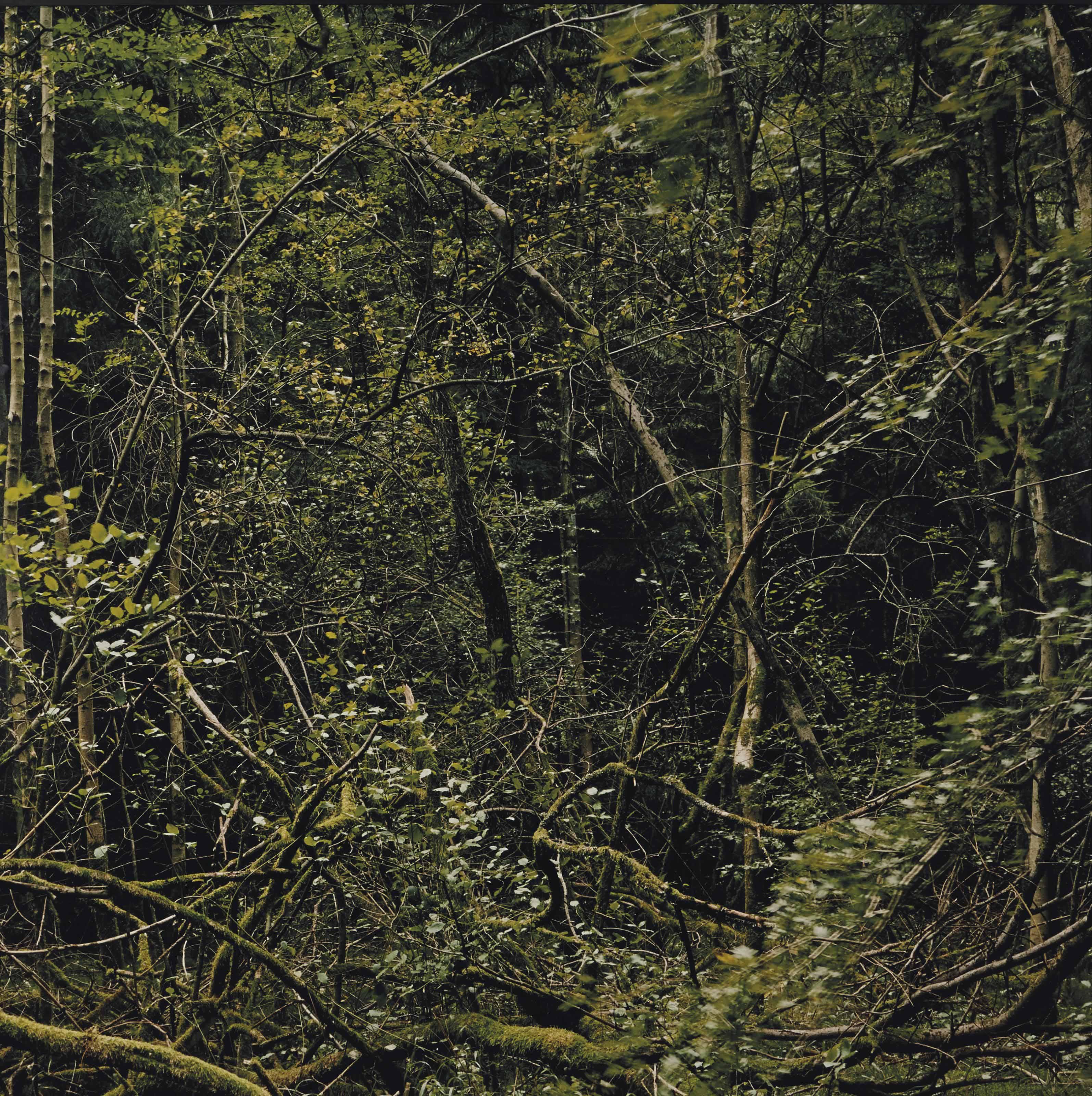 Eric Poitevin - Sans Titre, 1995