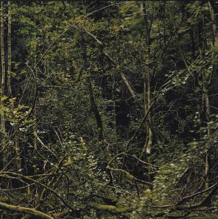 Eric Poitevin - Sans Titre, 1995