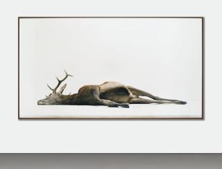 Eric Poitevin - Sans Titre (Cerf Allongé)\'