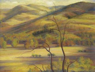 Eric Wilson - Wantabadgery Landsacpe