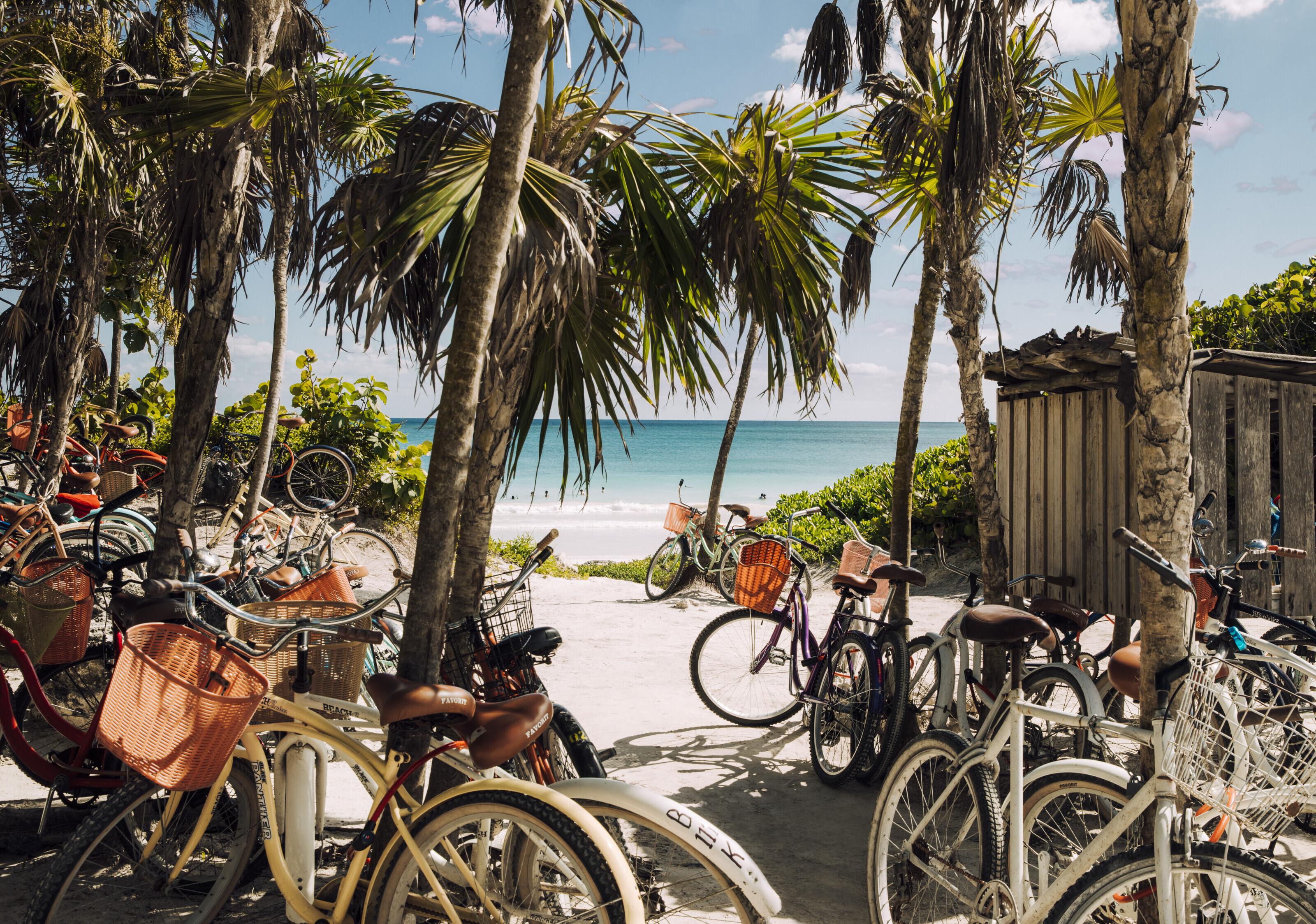 Erica Thorpe - Bicycle Beach