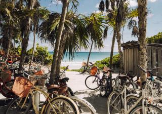 Erica Thorpe - Bicycle Beach