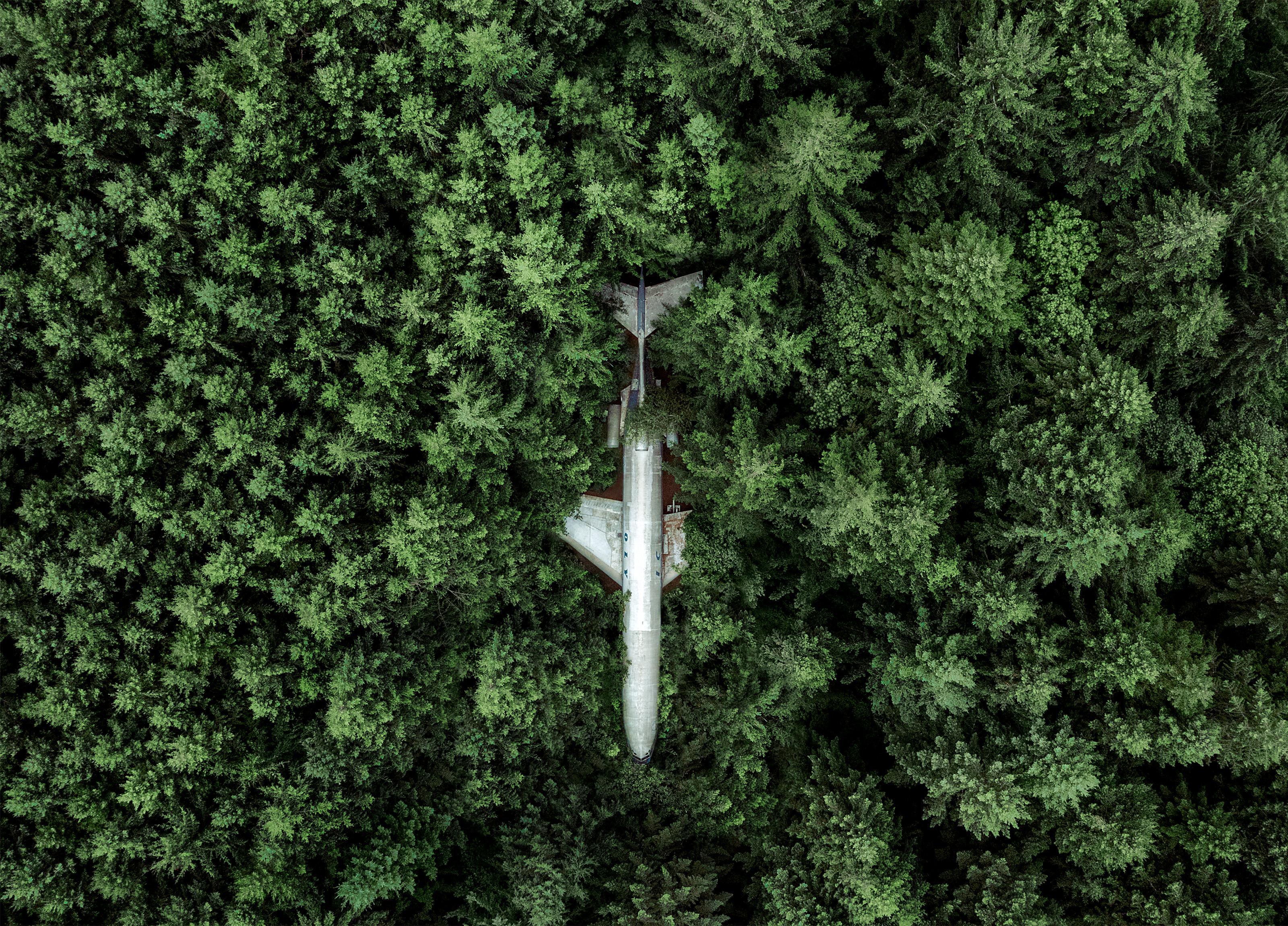 Erica Thorpe - Bruce\'s Airplane-Home