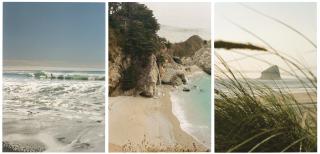 Erica Thorpe - Three Points Along the Pacific Coast