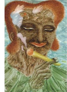 Erich Brauer - Wunderzicarre