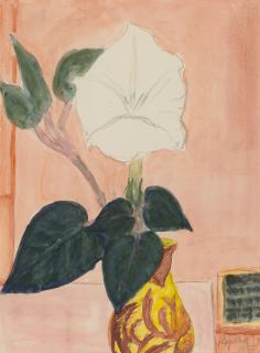 Erich Heckel - Dattura-Blüte