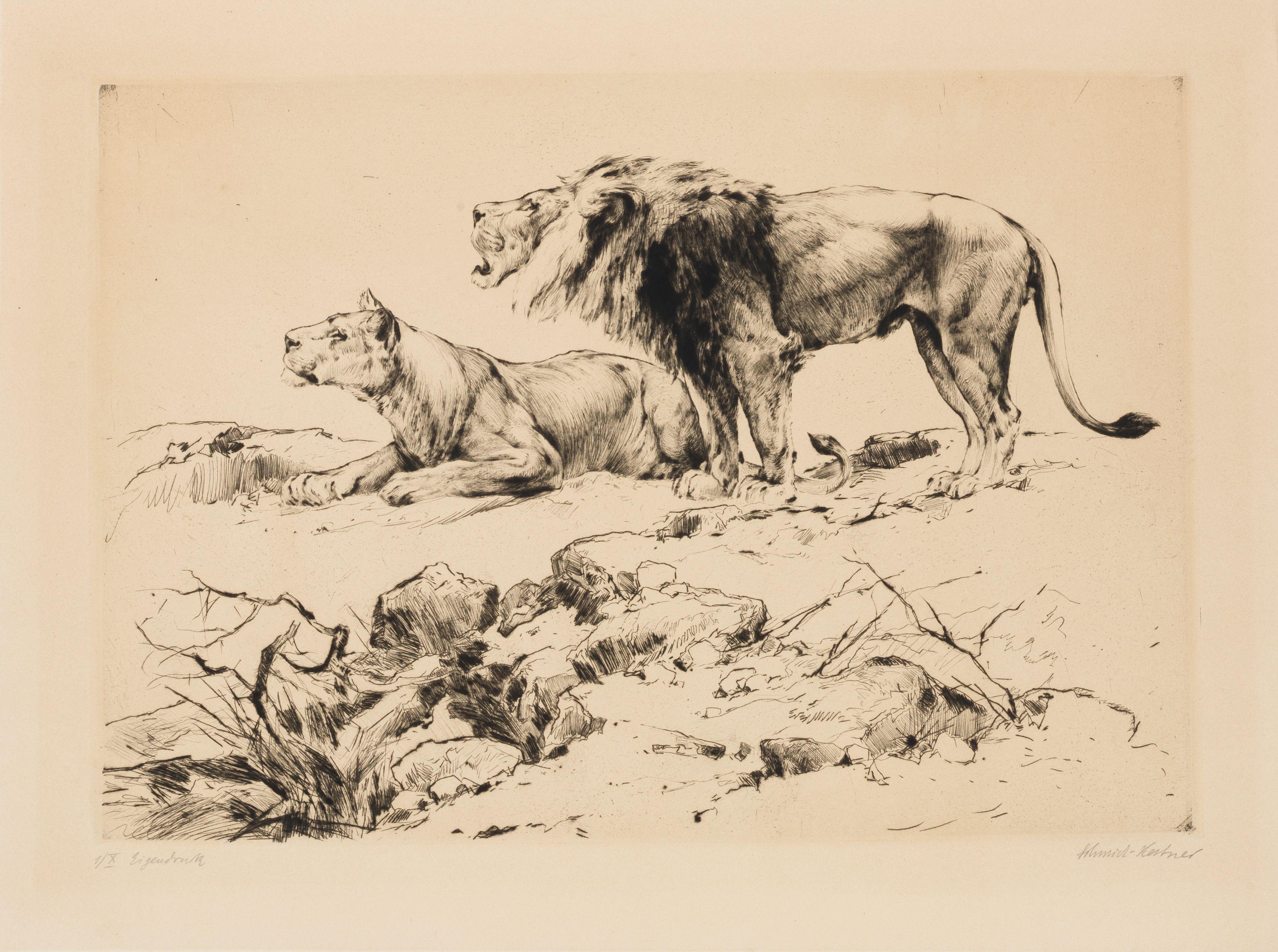 Erich Schmidt-Kestner - Pride of Lions