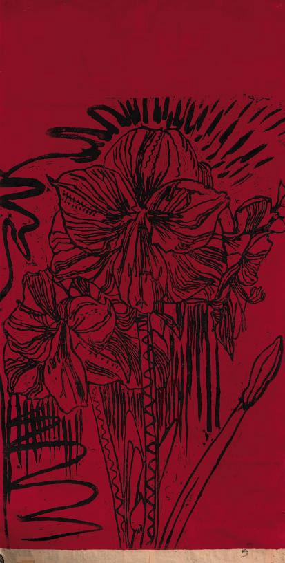 Erik Andriesse - Amarylisses