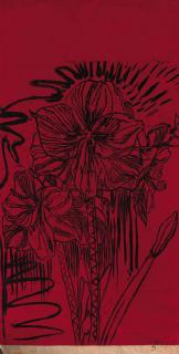 Erik Andriesse - Amarylisses