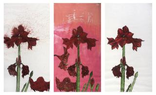 Erik Andriesse - Amaryllises - a triptych