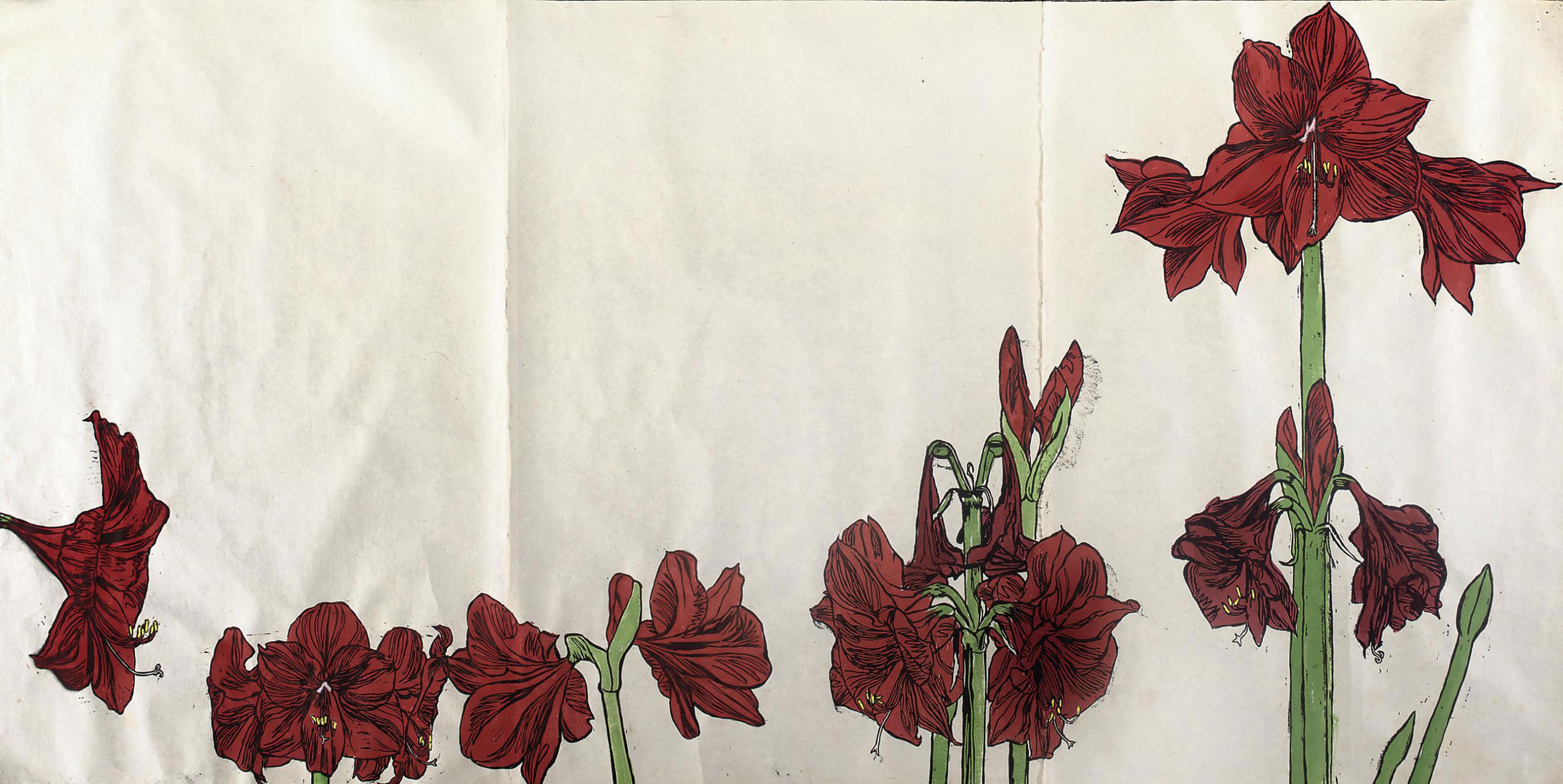 Erik Andriesse - Amaryllises