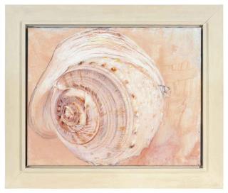 Erik Andriesse - Conch