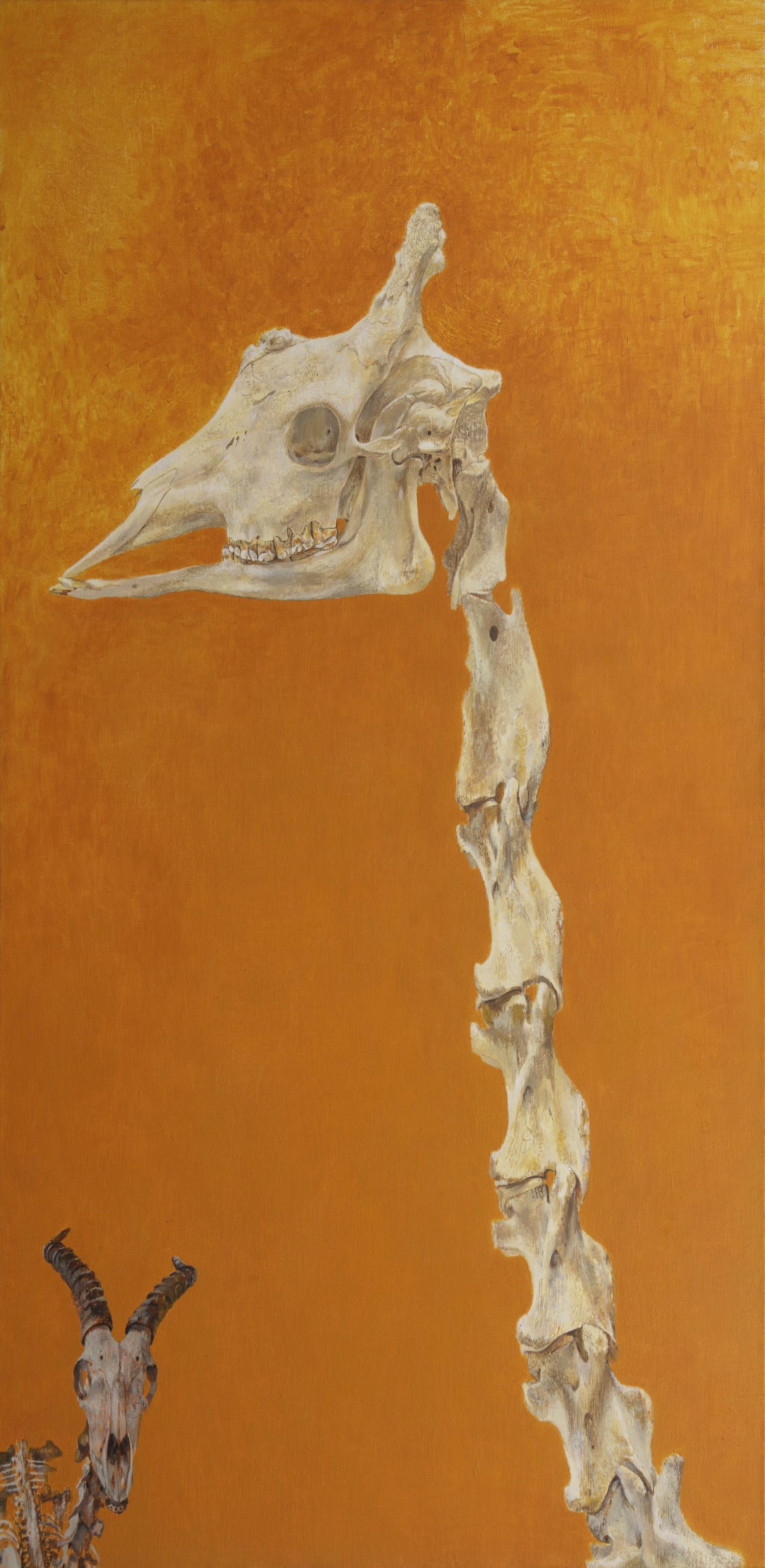 Erik Andriesse - Giraf en springbok