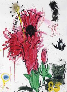 Erik Andriesse - Hibiscus (New Year\'S Greeting)