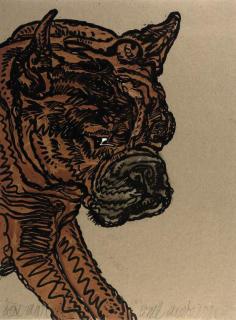 Erik Andriesse - Igor