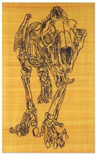 Erik Andriesse - Leopard