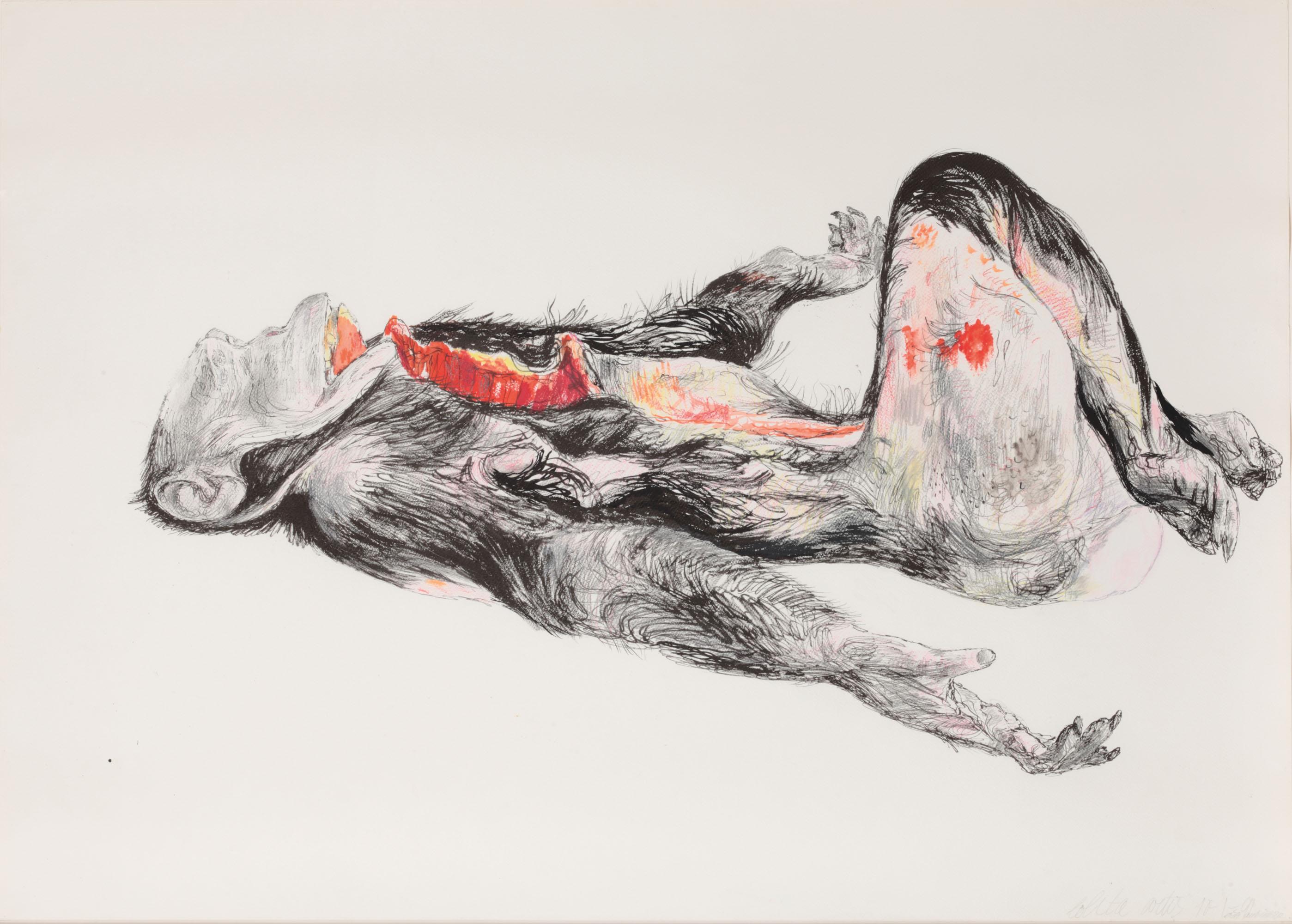 Erik Andriesse - Lolita Artis