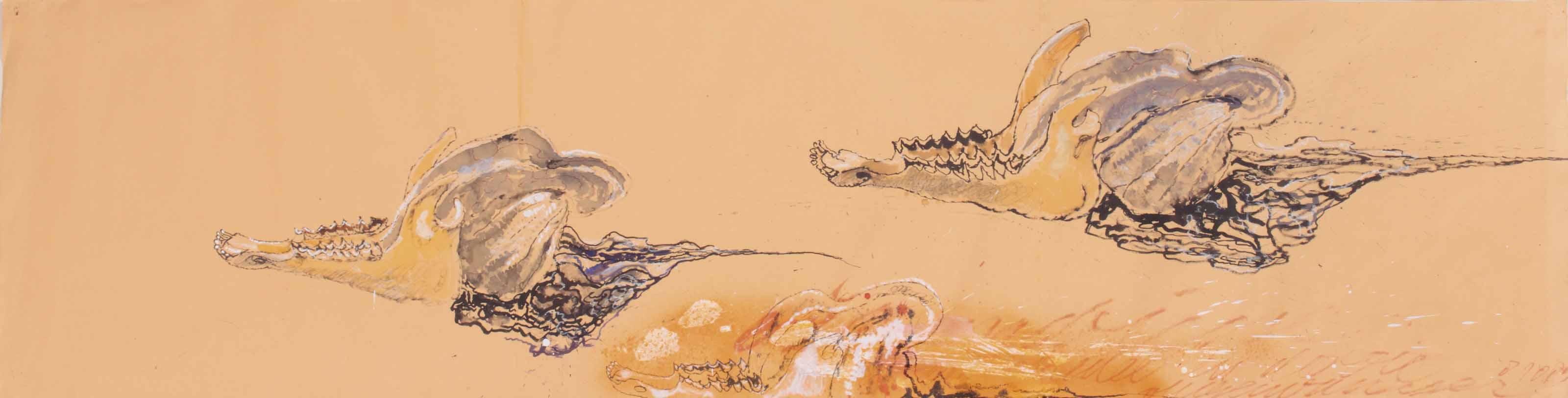 Erik Andriesse - Ramschedel En Dooie Vliegenvanger (Ram Skull And Death Flycatcher)