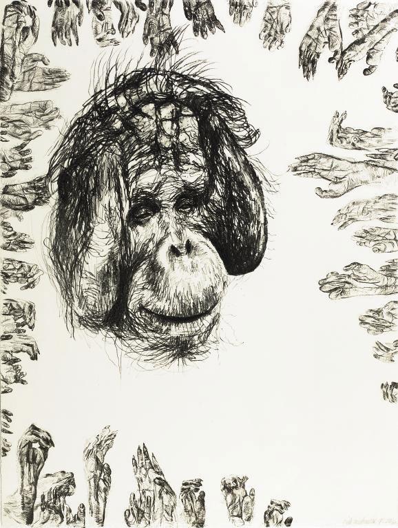 Erik Andriesse - Sam (Orang Oetang)