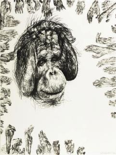 Erik Andriesse - Sam (Orang Oetang)