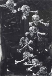 Erik Andriesse - Schedels