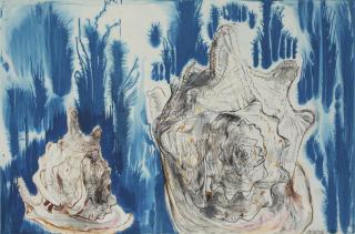 Erik Andriesse - Schelpen (Shells)