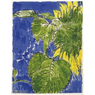 Erik Andriesse - Sunflower