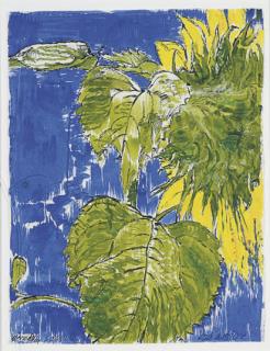 Erik Andriesse - Untitled (Sunflower)