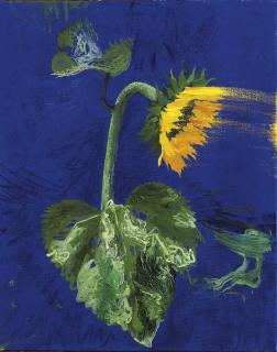 Erik Andriesse - Zonnebloem