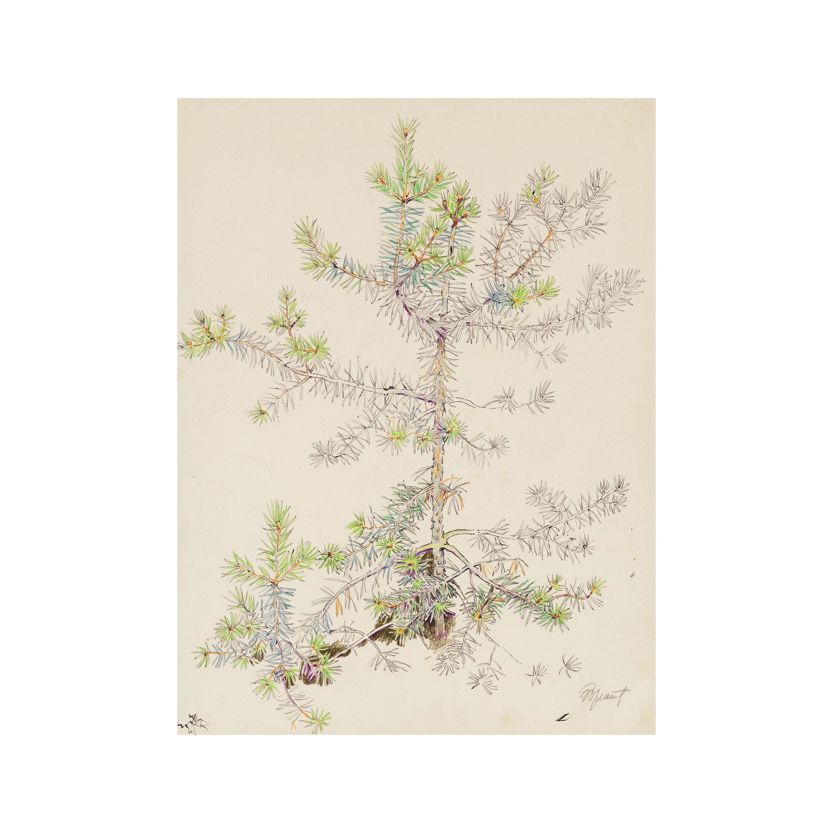 Erik Bulatov - Pin/ Pine tree