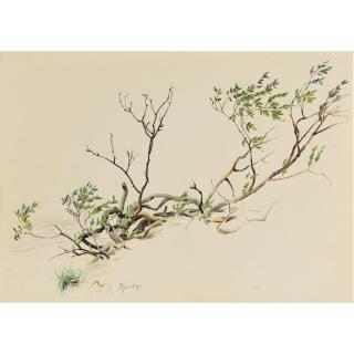 Erik Bulatov - Study Of Branches