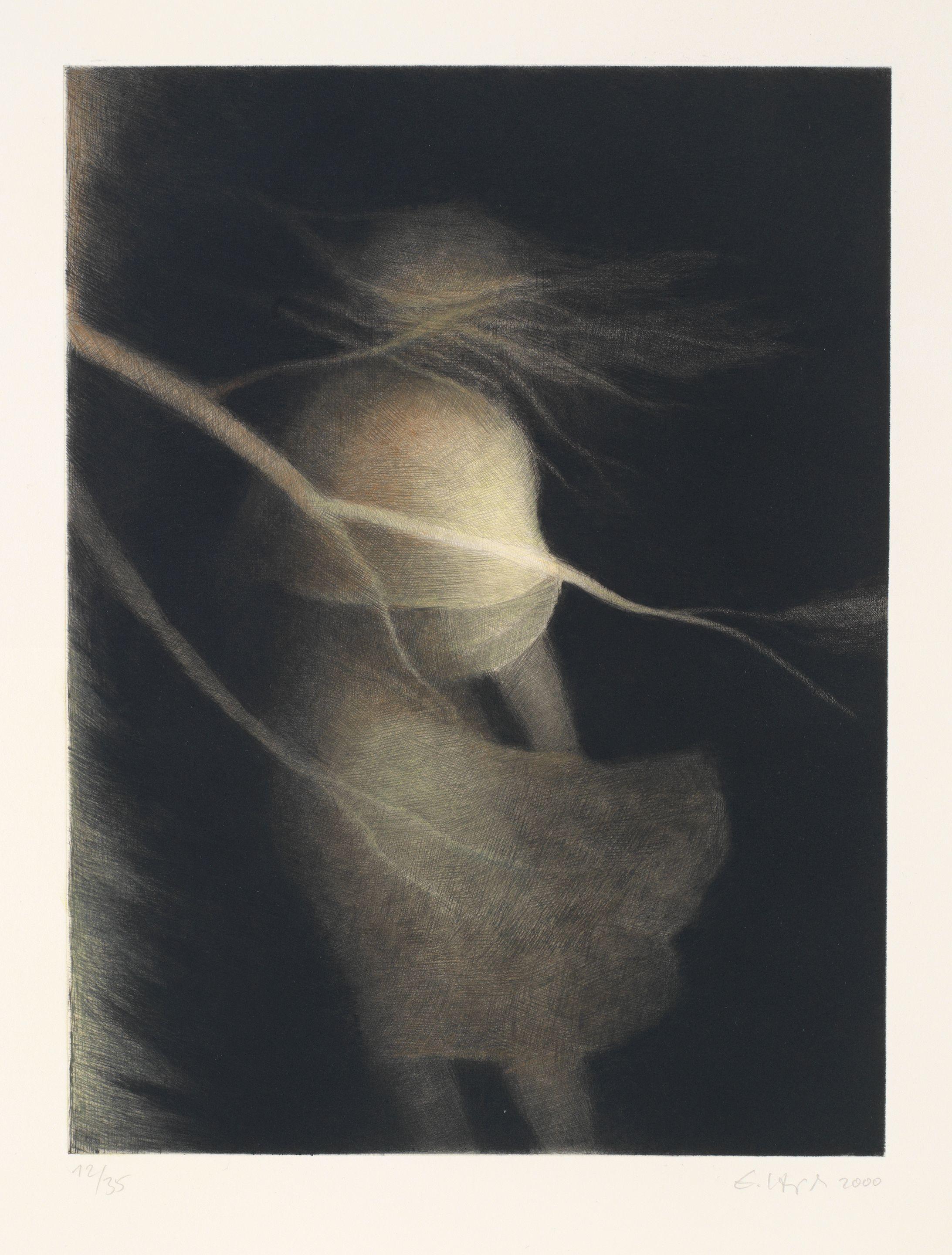 Erika Hegewisch - Vom Licht ins Dunkel