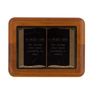 Erika Rothenberg - The Measure of a Man