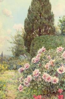 Ernest Arthur Rowe - Peonies in a garden, Coddington, near Ledbury, Herefordshire