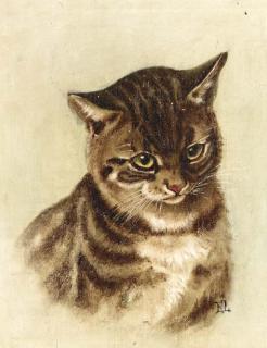 Ernest Lawson - Portrait of a Cat