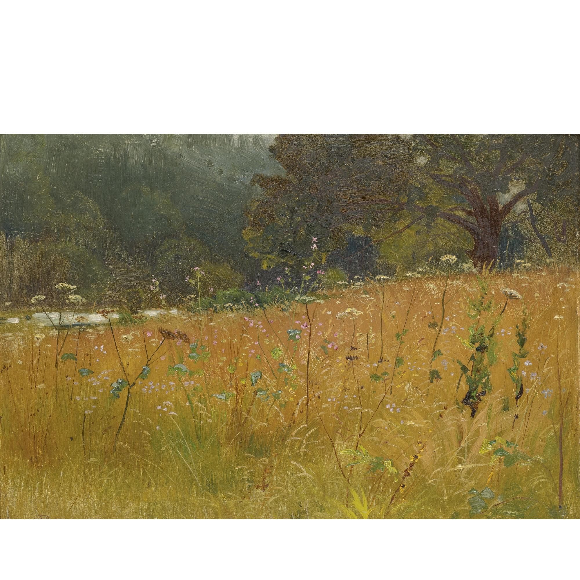 Ernest Parton - Wild Flowers