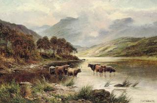 Ernest Walbourn - Highland cattle watering