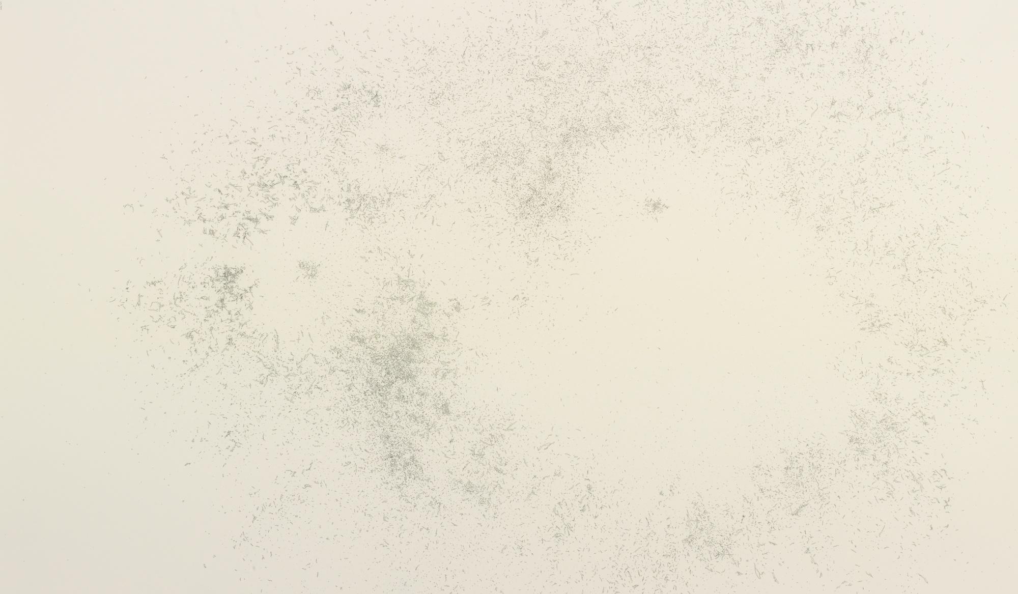 Ernesto Caivano - E-13