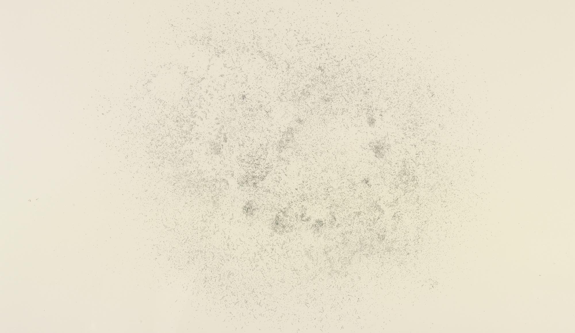 Ernesto Caivano - E-14