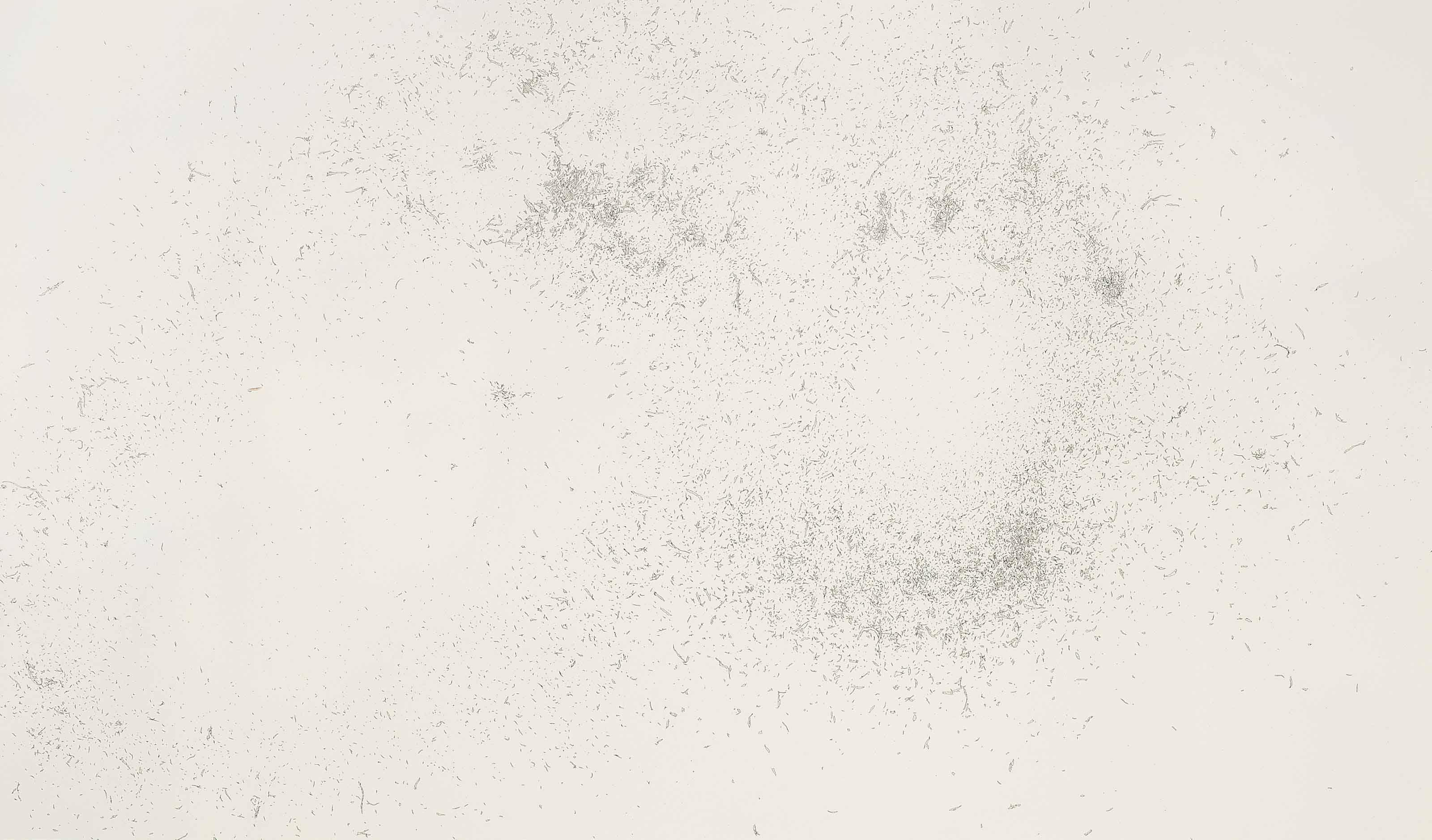 Ernesto Caivano - E 18