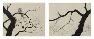 Ernesto Caivano - I. Blind Spots In Shadows 9 Ii. Blind Spots In Shadows 5 [2 Works]